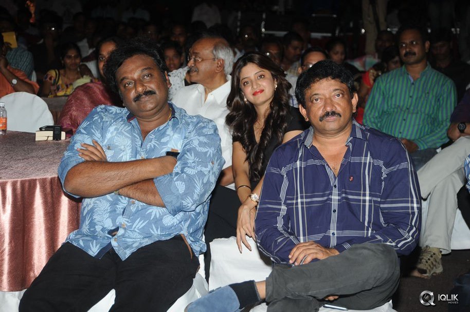 365-Days-Movie-Audio-Launch